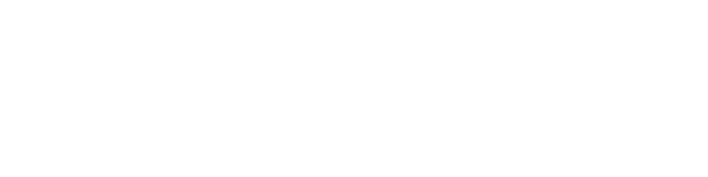 Logo-White-MAX